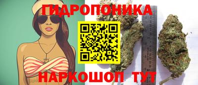 a pvp Мариинск